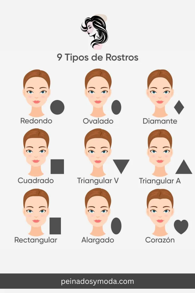 tipos de rostros